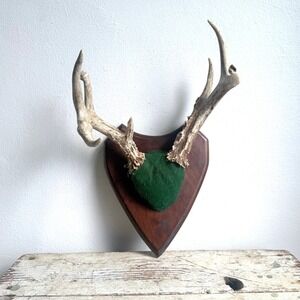 7 Point Whitetail Deer Antler Rack Handcrafted Green Felt Wood Plaque Michigan
